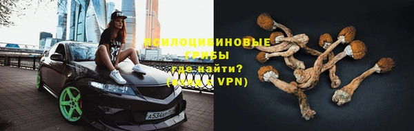 дживик Усмань