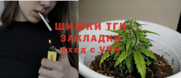 гидра Арсеньев
