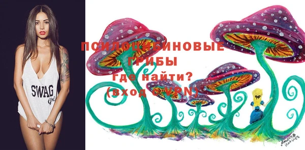 тгк Армянск