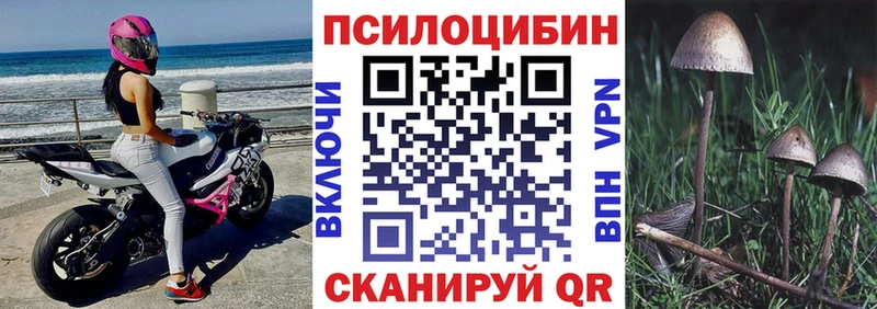 kraken рабочий сайт Шацк Галлюциногенные грибы прущие грибы